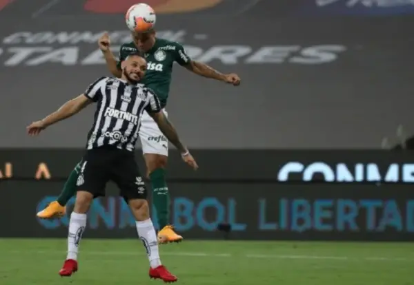 Palmeiras vs Santos, 2h00 ngày 9/10 – Soi kèo VĐQG Brazil