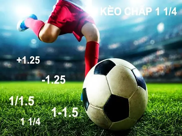 Kèo chấp 1-1.5 Cách tính tiền và bí quyết chơi hiệu quả