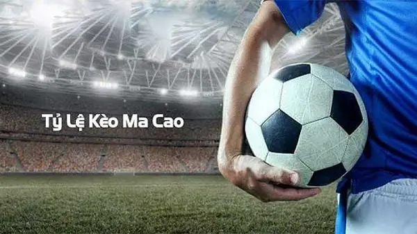 Kinh nghiệm cược tỷ lệ kèo Macau chắt lọc cho người mới