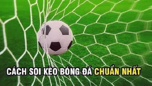 Kinh nghiệm cược bóng giảm thiểu tỷ lệ thua kèo