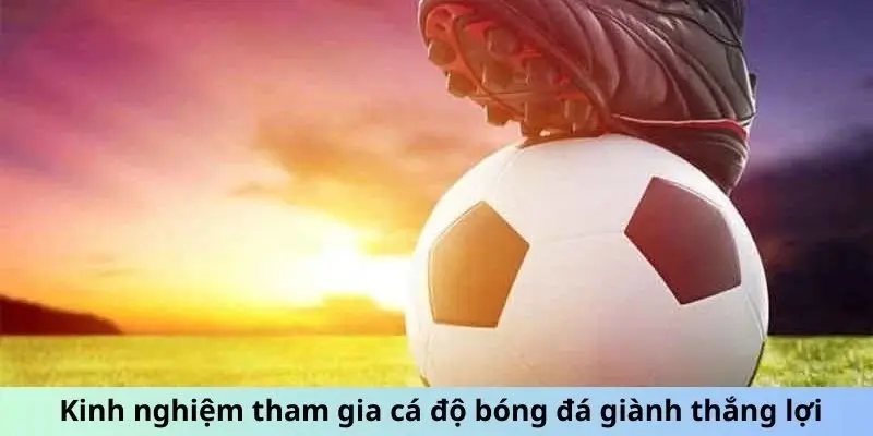 Kinh nghiệm cược bóng giảm thiểu tỷ lệ thua kèo