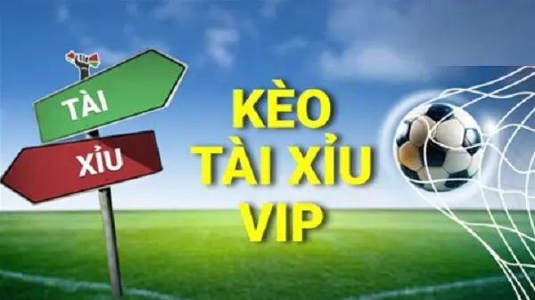 Những cách chơi kèo tài xỉu bóng đá mà nhà cái không muốn bạn biết