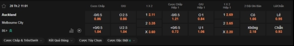 Soi kèo Auckland FC vs Melbourne City, A-League – 11h00 ngày 28/02