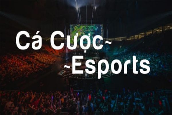 KINH NGHIỆM CÁ CƯỢC ESPORTS