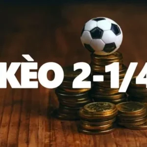 Kèo chấp 2.25: Cân nhắc khi đánh cửa dưới