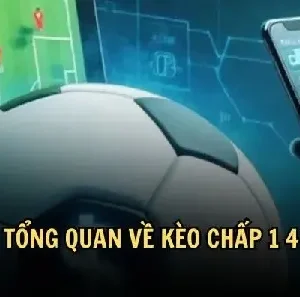 Tìm hiểu về kèo chấp 1/4 dành cho tân thủ