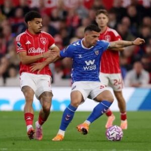 Top tân binh chơi hay nhất Premier League 2025-26 sau 11 vòng đấu